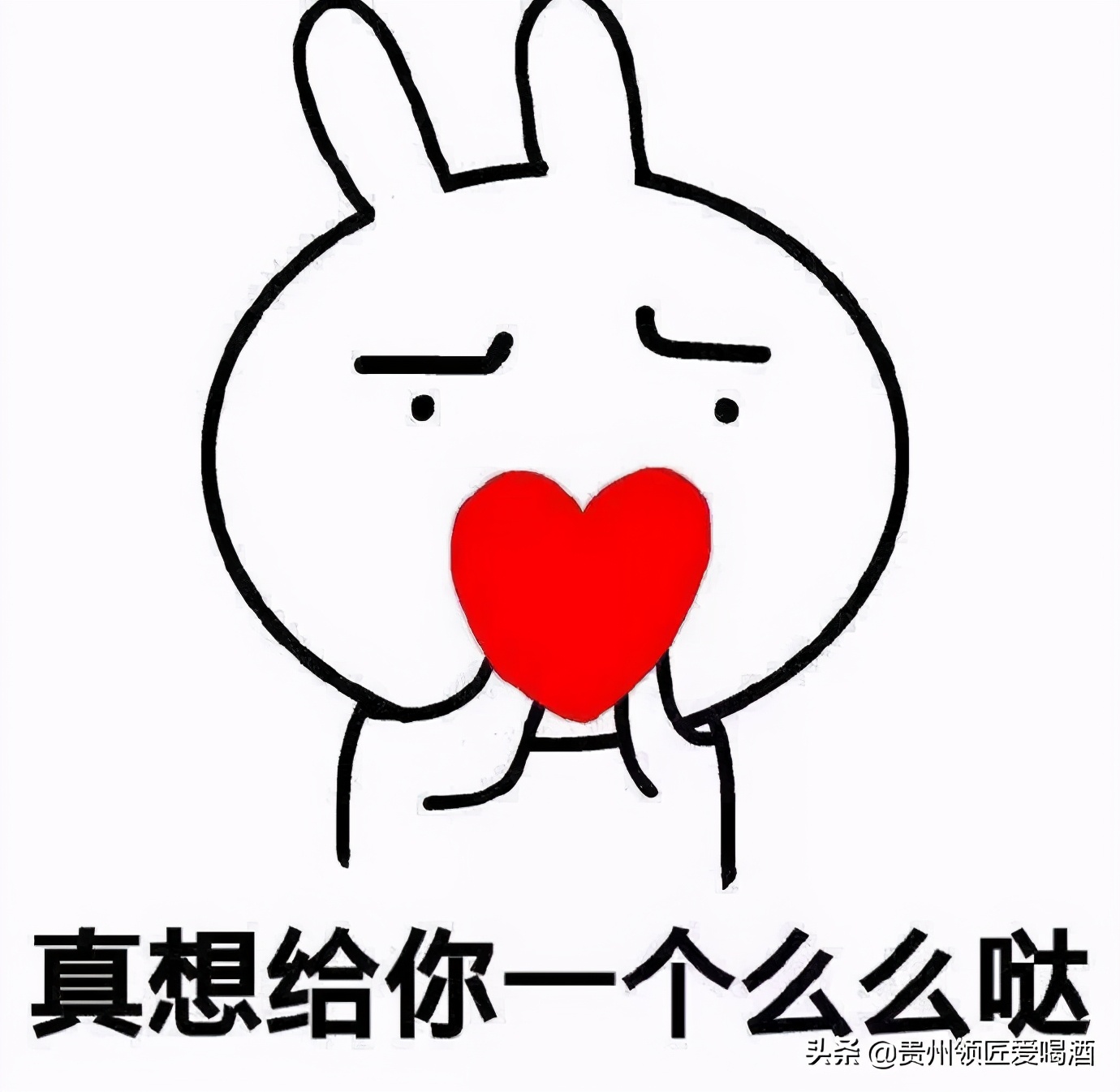 买白酒一般要买哪种白酒,白酒知识如何区分瓶装白酒的好坏