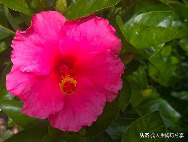 人生格言正能量励志名句简短,励志短句正能量名人名言