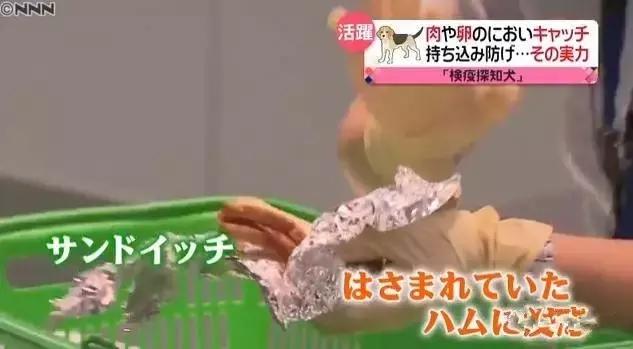 日本海关严查,日本海关对入境物品规定