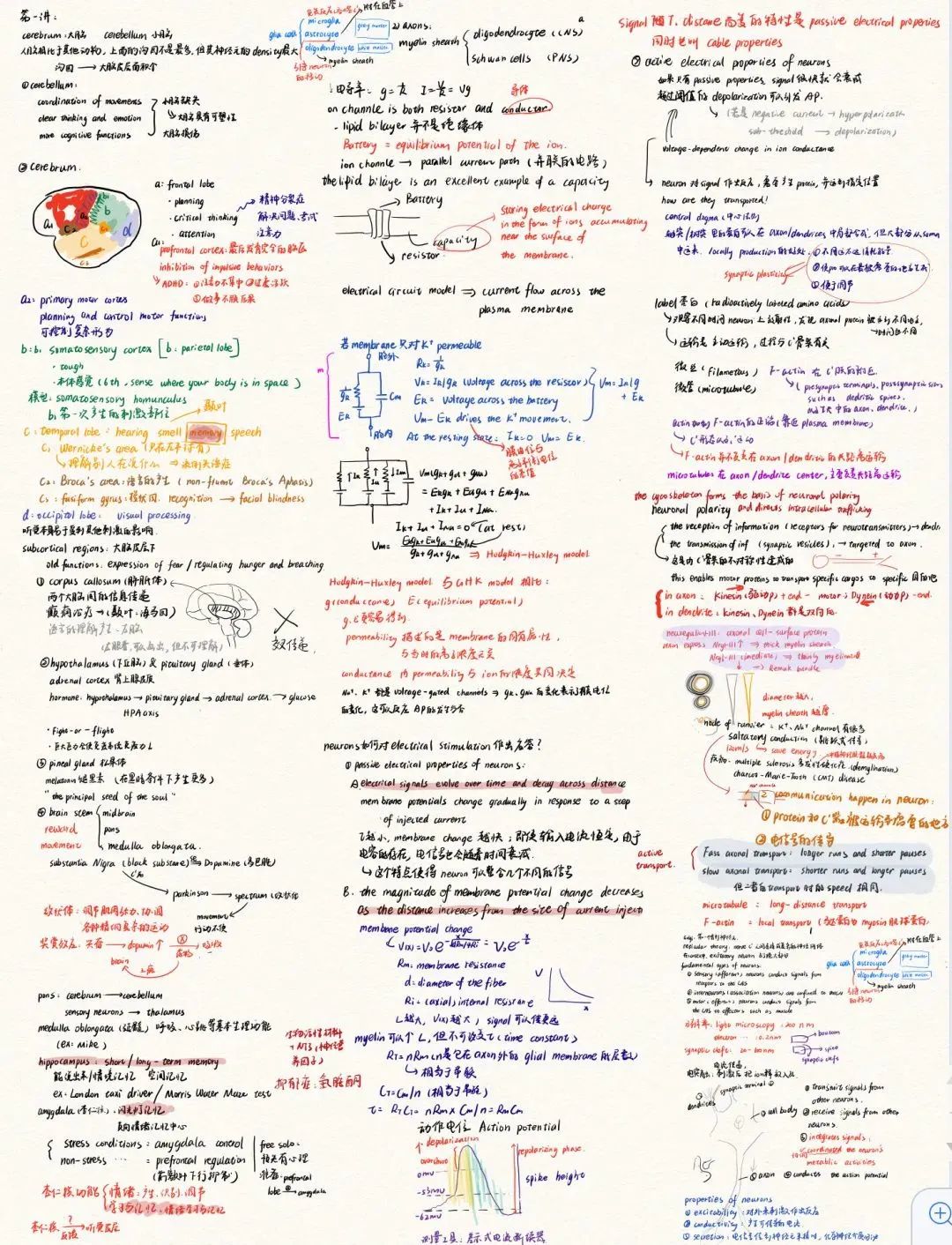 清华学生课堂笔记,清华大学学霸笔记全集