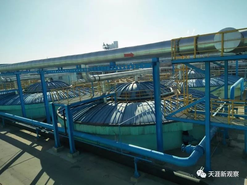 大利川真的牛：全城惊现“万国车”,上）