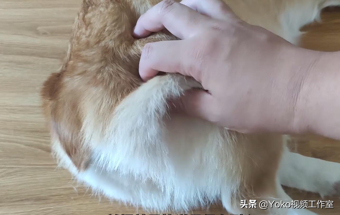 网购电脑怎么看配置,网购电脑怎么检查是新机