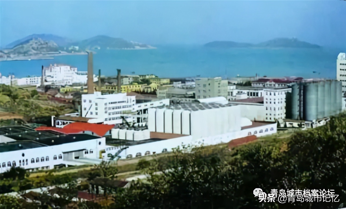 经典崂山啤酒,神泉美酒