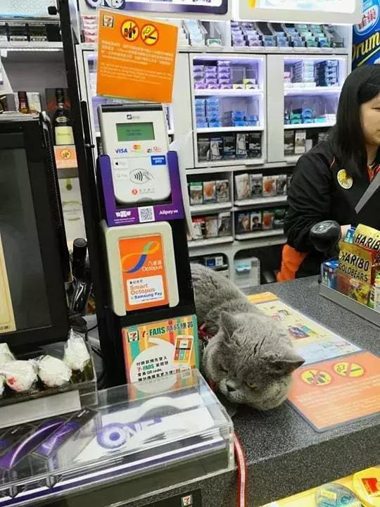 香港这家便利店的店长,靠着腮帮子走红了