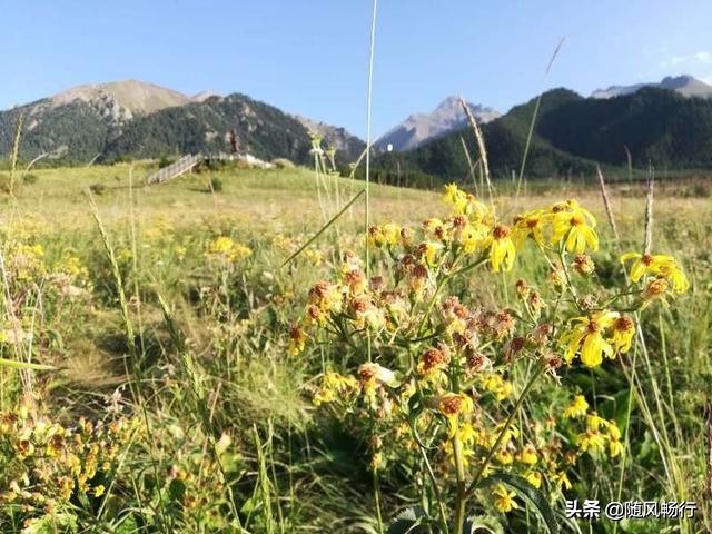 乌苏待甫僧为什么叫大佛山,乌苏待甫僧景区几级