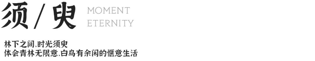 成都新力郦园,成都双流新力郦园设计