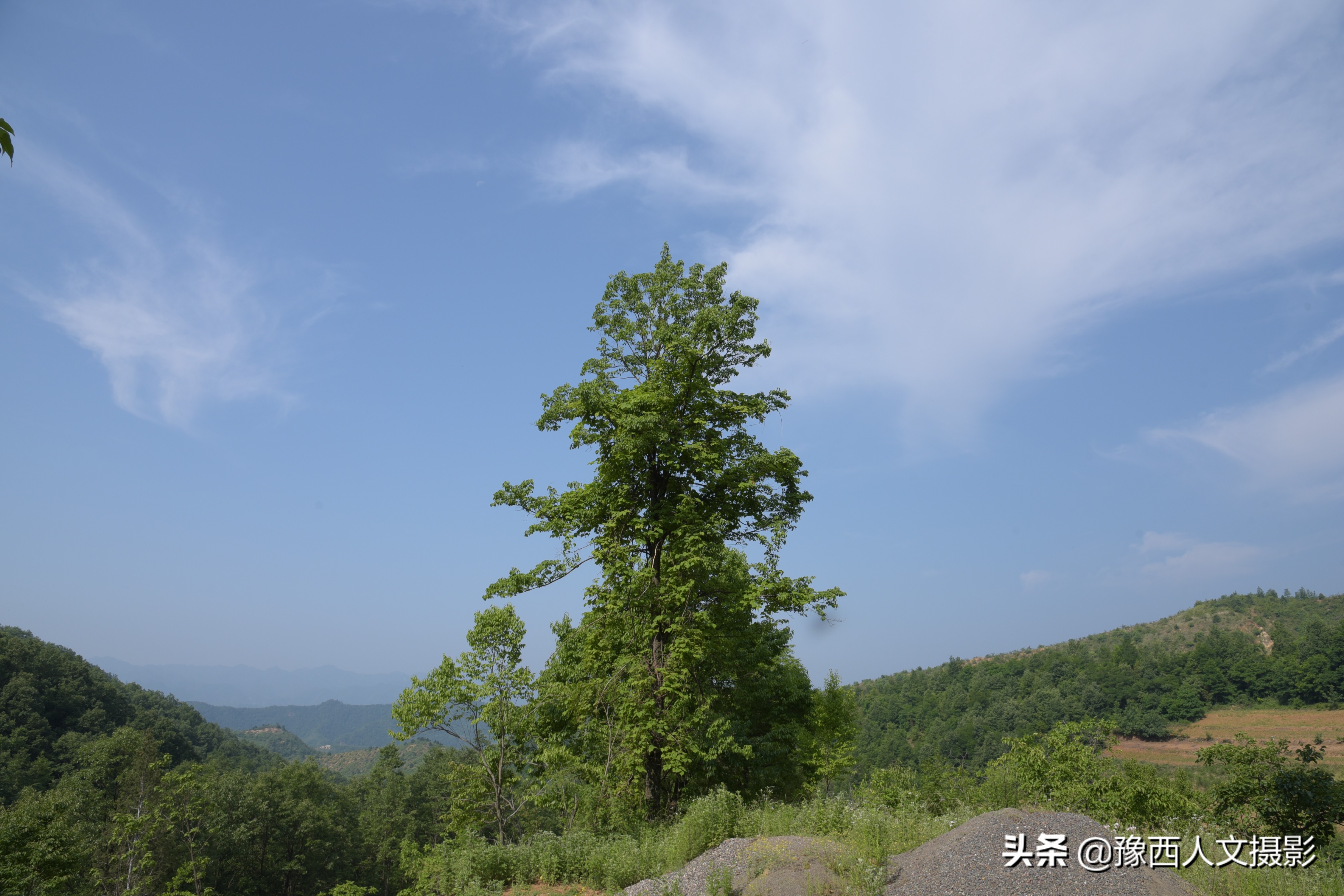 老村医治好脉管炎，两兄弟拿万元酬谢，他仅从毛票中抽出80块