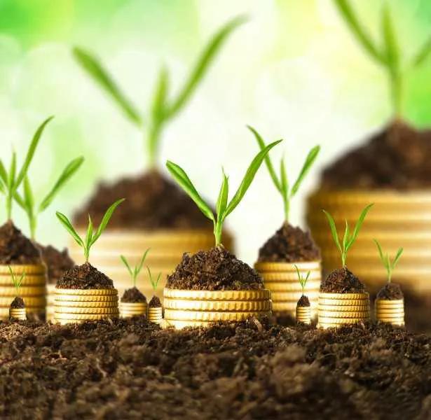 国杰实业app曝光,国杰实业投资靠谱吗