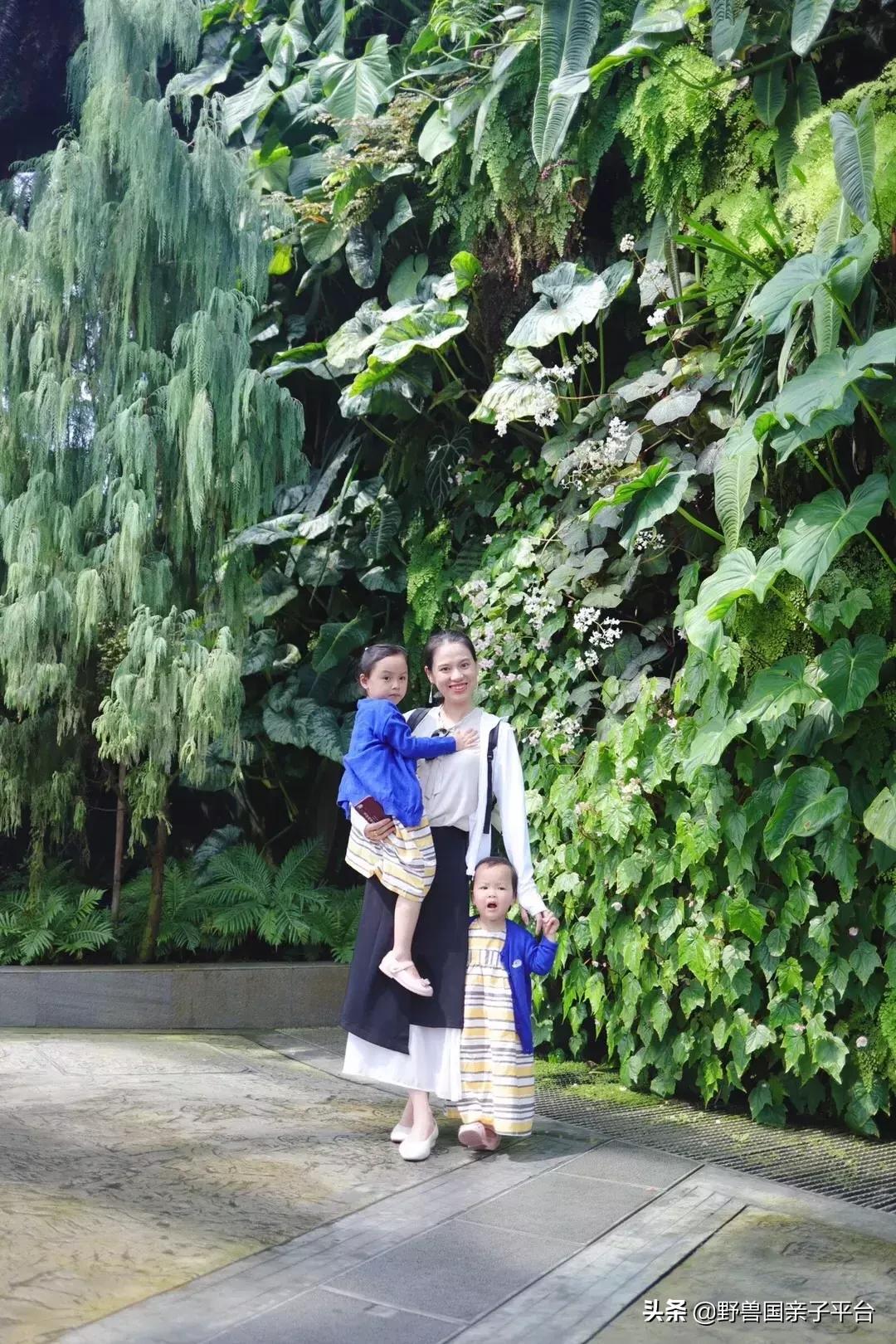 带孩子新加坡4天够玩吗,新加坡带孩子自由行几天