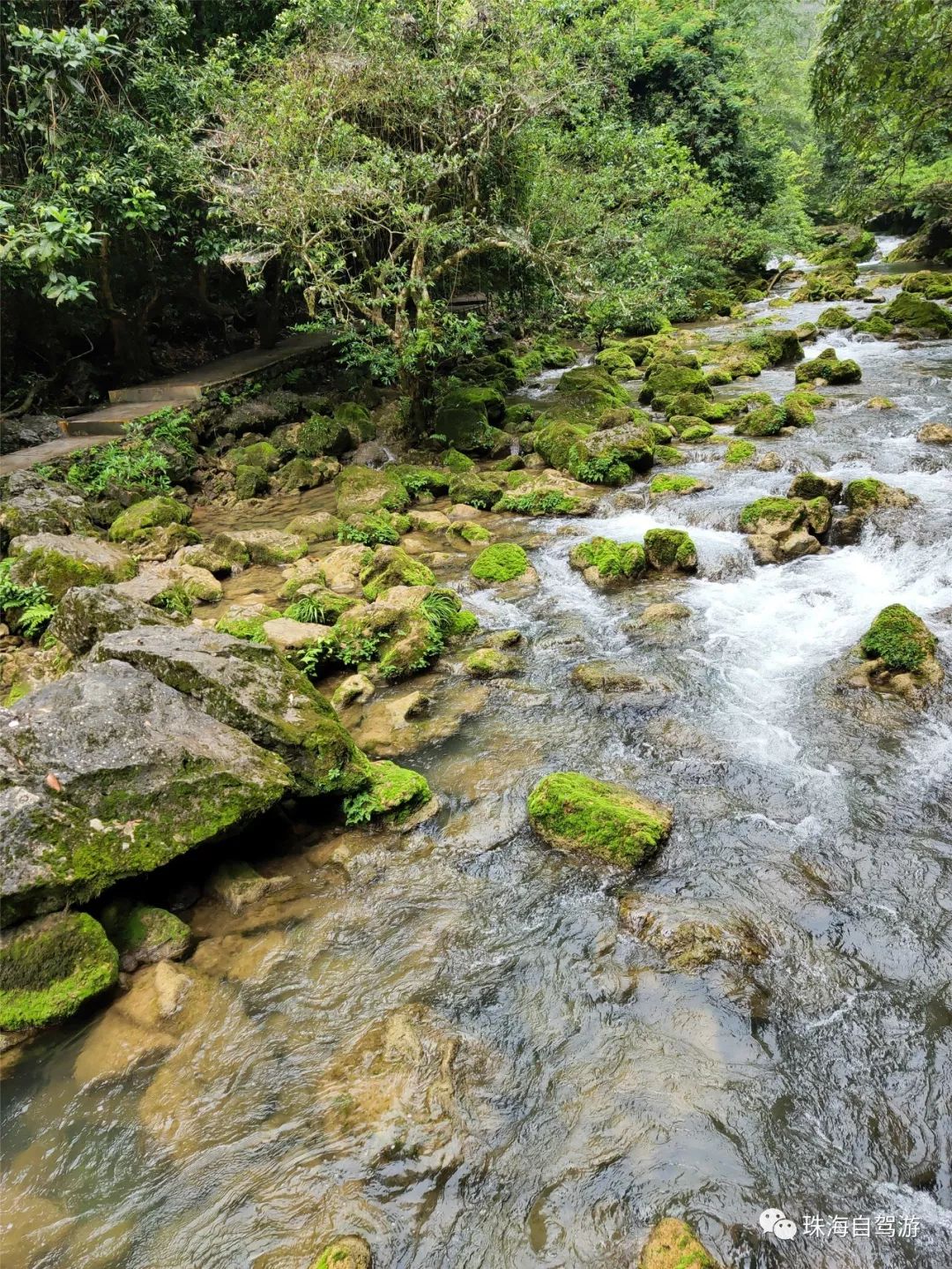 贵州旅游攻略荔波小七孔实用攻略,贵州梵净山荔波大小七孔旅游攻略