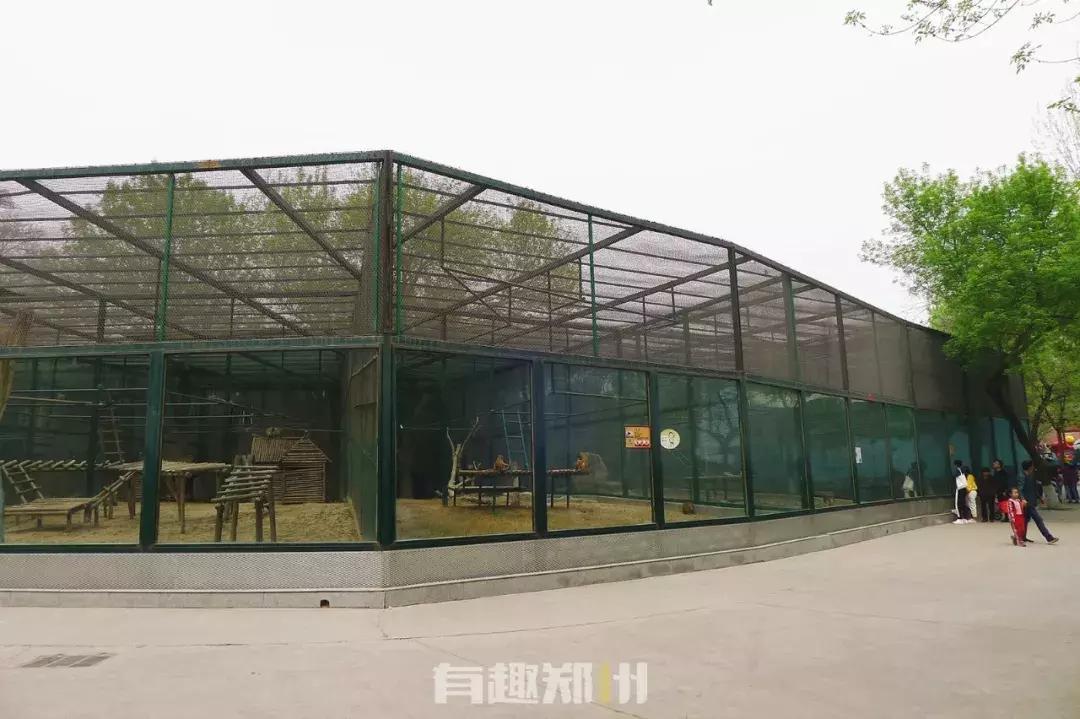 郑州市动物园开放,郑州市动物园什么时候去合适