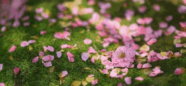 致敬追梦人|2019建业世和府万人健步走报名开启！