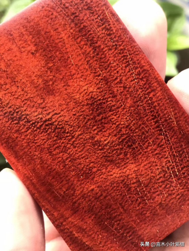 小叶紫檀为什么价格差这么多,小叶紫檀要怎么买