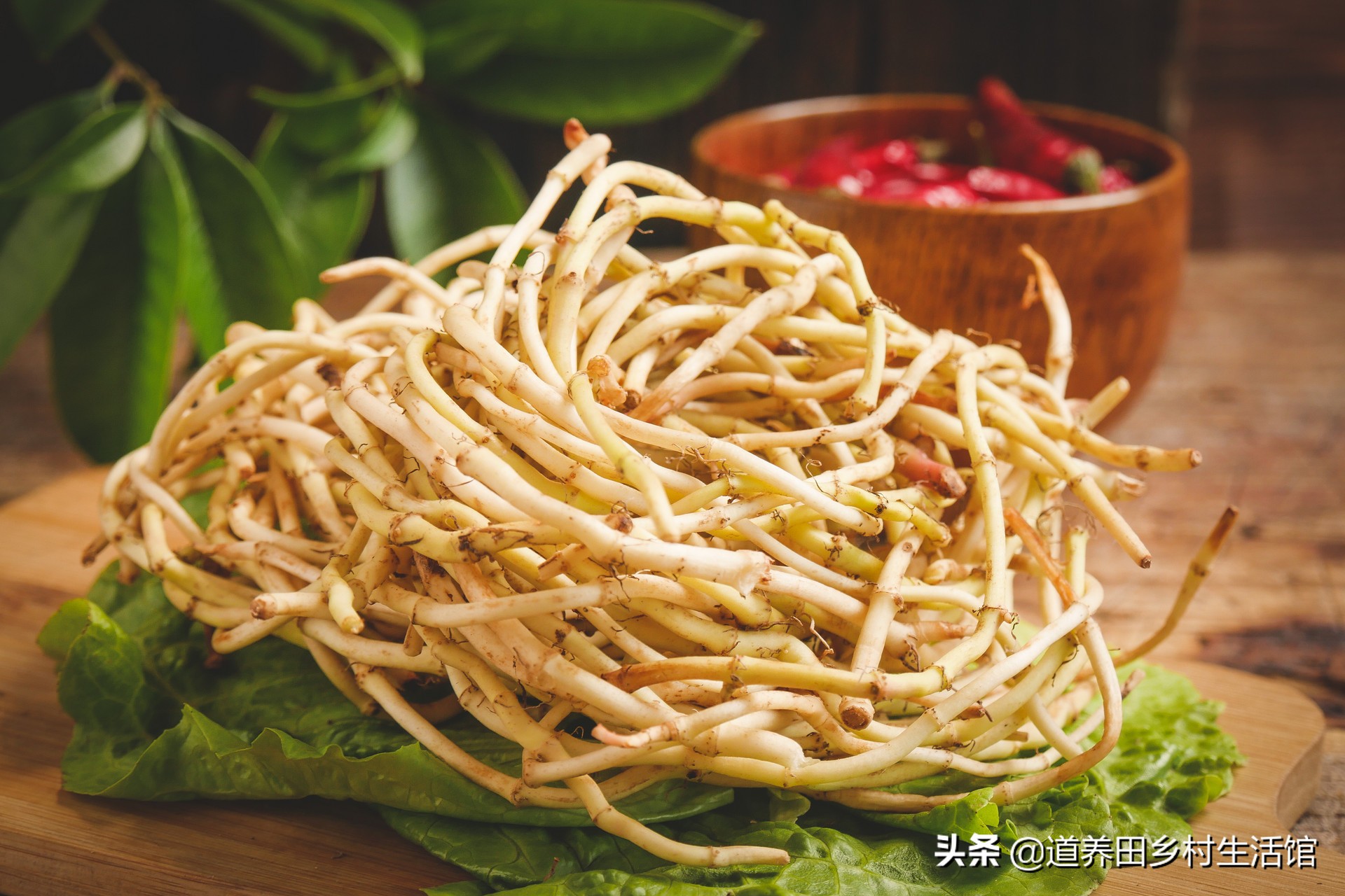 折耳根不好吃,折耳根不新鲜