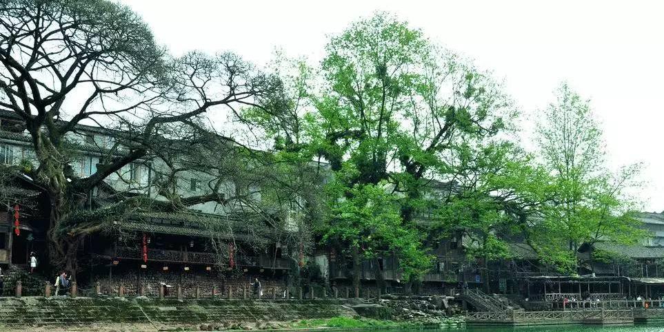 豫章罗氏始祖珠公的父亲,豫章罗氏珠公后裔有哪些