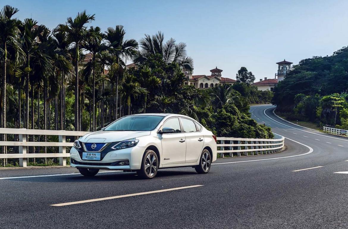 新能源时代的逐浪者，访网约车经营者实录