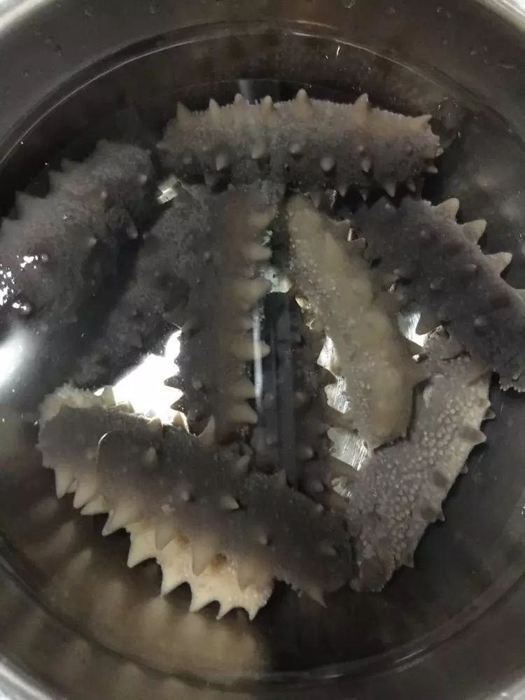 最全面的海参泡发方法太实用了,泡发海参煮还是蒸方法大全