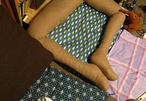 主人网购了个假肢,终于不用受猫咪折磨了:这下可算解脱了