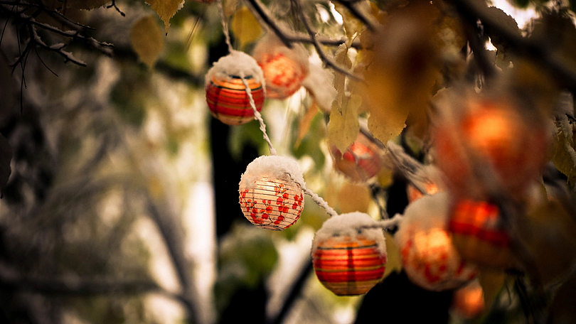 2024年适合男孩的诗经名字,祝福人前程似锦的诗经名句