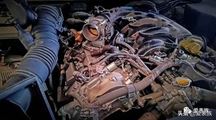 「大保健」男人的机械情怀——保养一支钉摆蓝游丝的手卷梅花