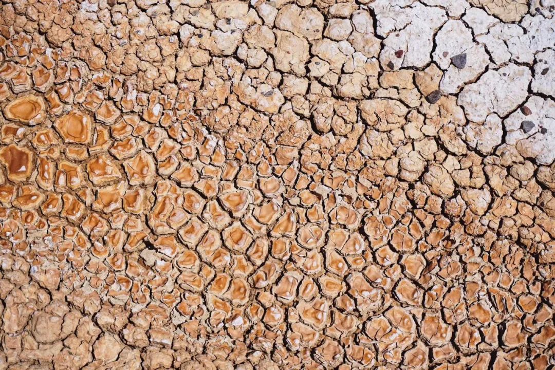 炸裂！全球唯一合法资质进入羌塘，一起去实现人生终极越野梦