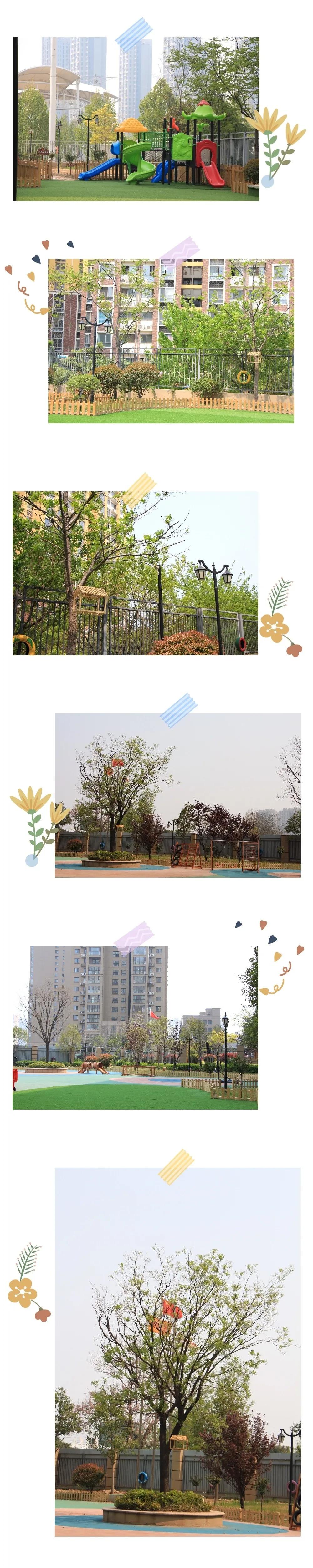 五龙汇爱幼稚园,郑州五龙新城汇爱幼儿园