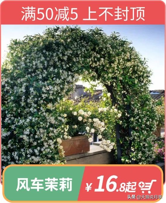 开新店买一送一活动,新店开业搞什么活动买十送十