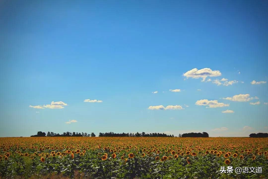 支教老师泪目,支教千字长文素材