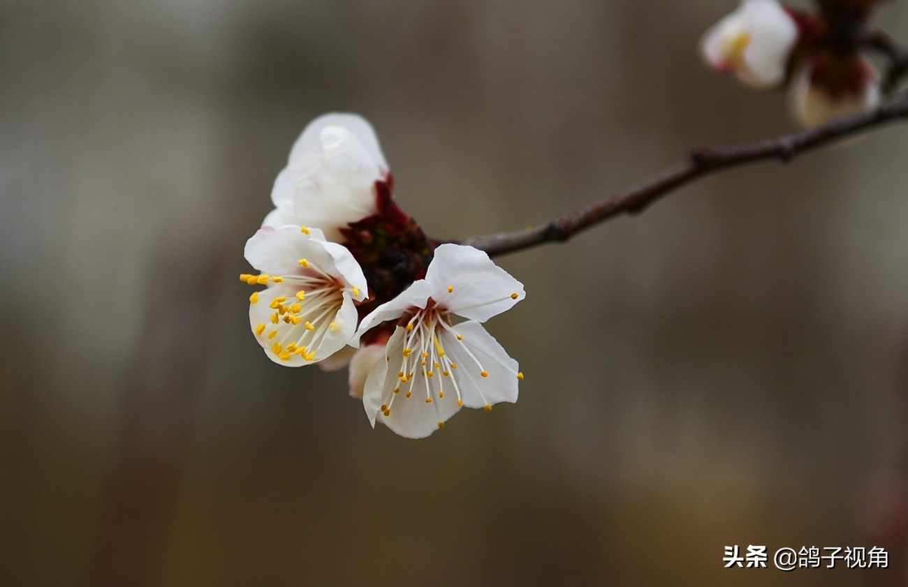 难容之事不妨付之一笑,生气时能够坦然一笑是一种大度