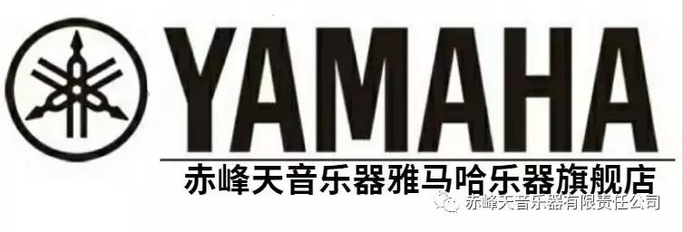 天音顶级车载音乐,雅马哈出过哪些乐器