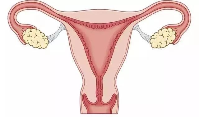 “缩阴、排毒、洗出子宫毒素？”这种伪科学你可千万别被忽悠啦