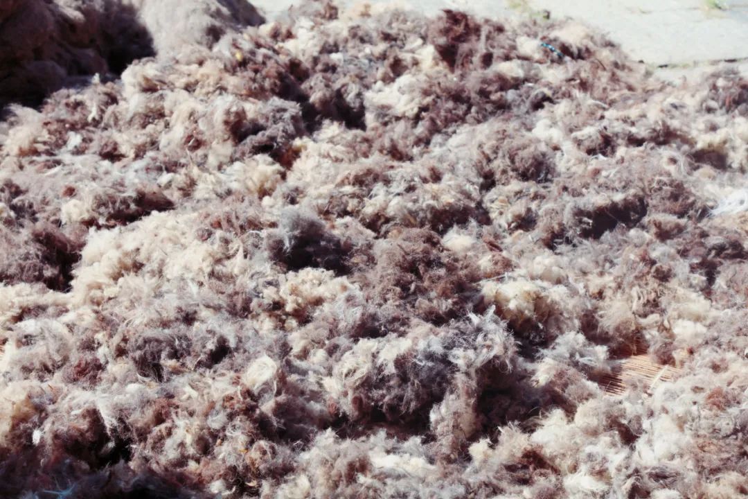 传统老式羊毛毡的制作,已消失的古老手工羊毛毡