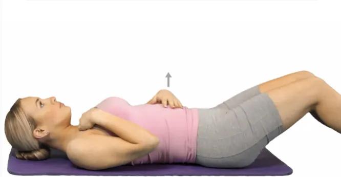 瑜伽解剖系列之腹直肌,产后修复、腰部赘肉、痛经相关肌肉