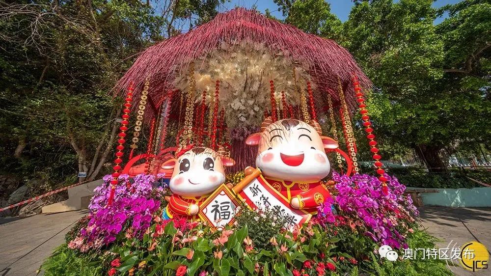 澳门美图欣赏,澳门春日赏花美图