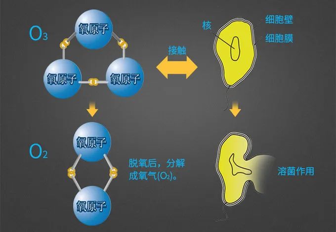 比起酒精、84消毒液，紫外线消毒器才是王牌