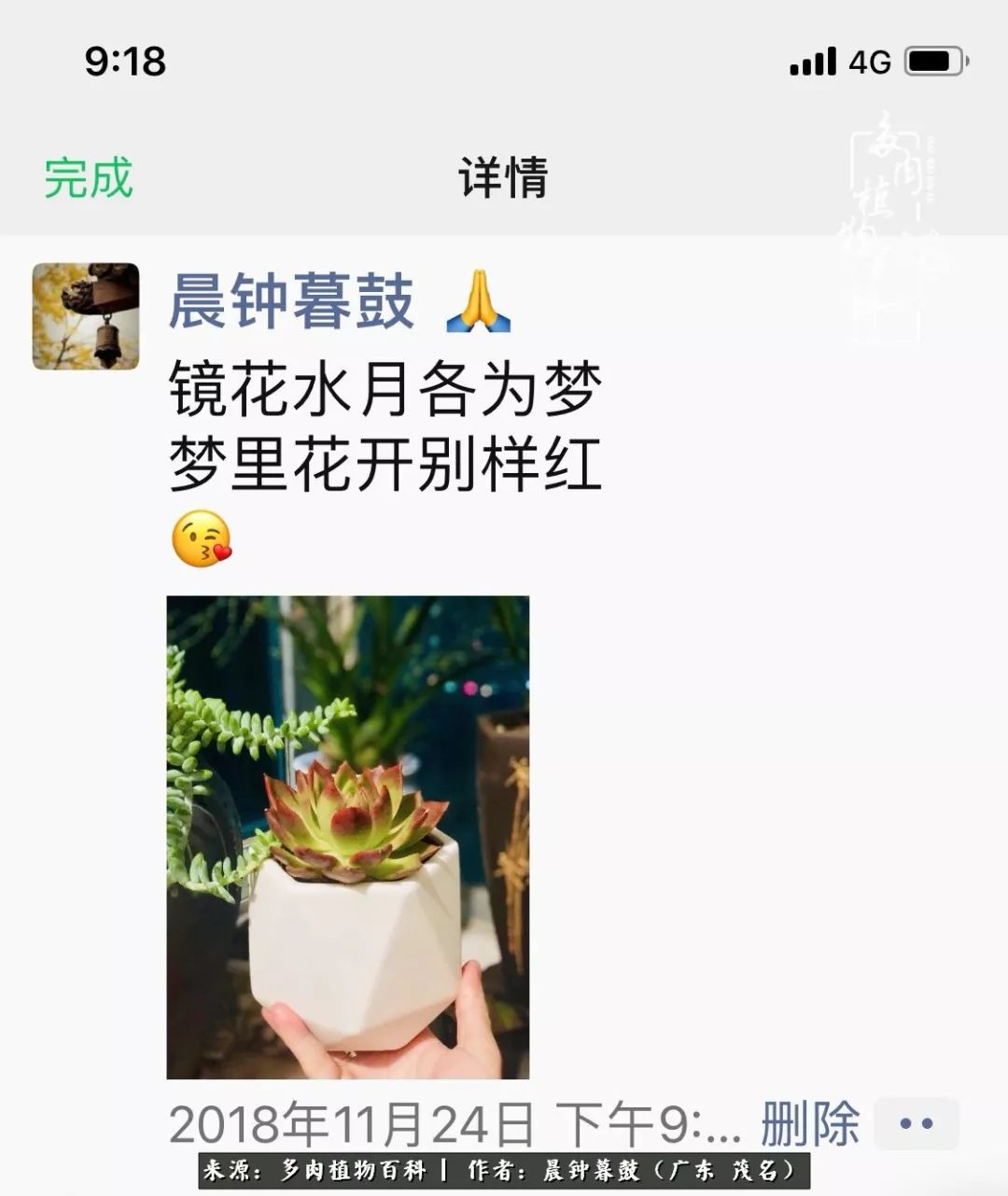 轻轻地告诉你，我的多肉也曾美过，不信你看看