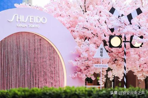 昆明金九银十折扣,昆明金九银十在哪里