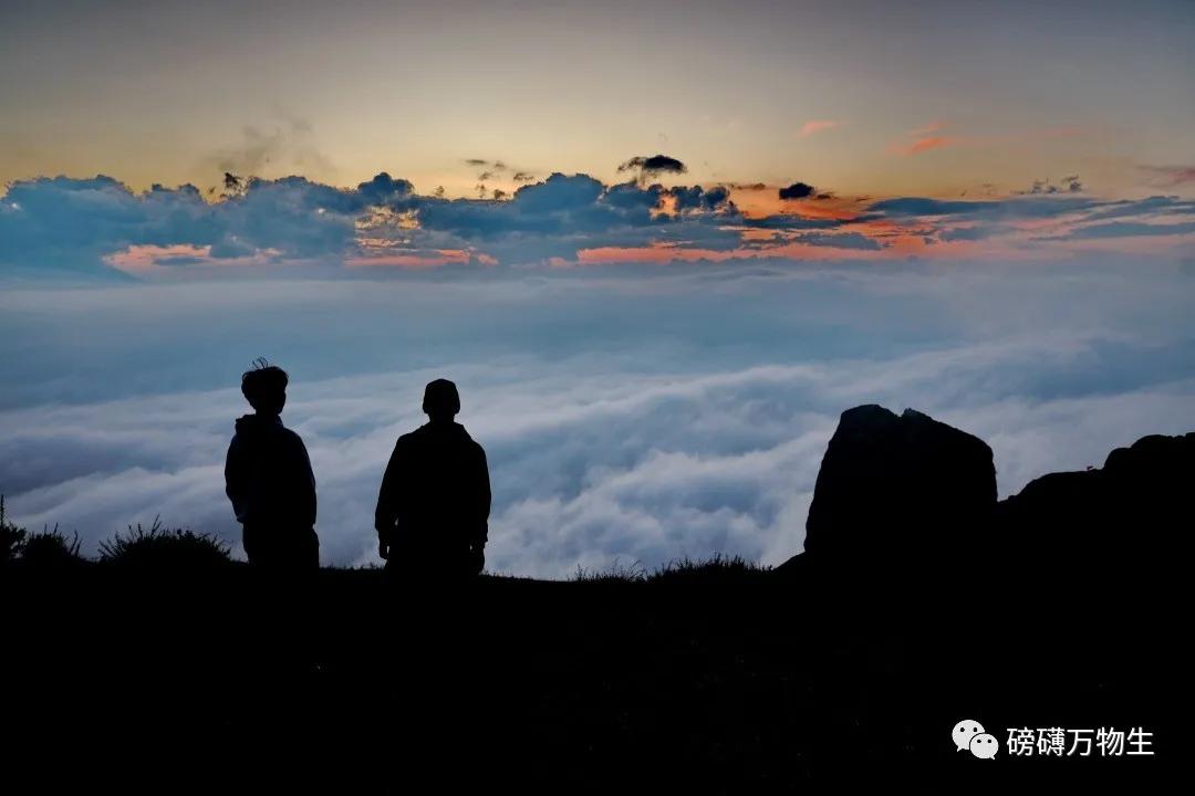 万物生电视剧拍摄,电视剧万物生在线播放