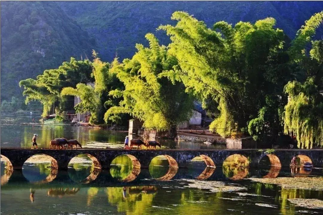 它们冷门，可却是如此幽静美丽