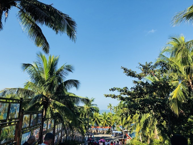 三亚旅游攻略自由行游记,三亚自由行超全干货旅游攻略