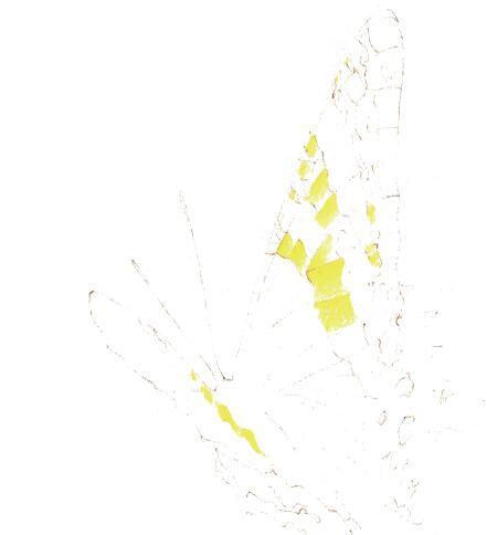 3d错觉画教程,3d错觉画作品