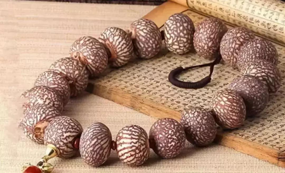 认识了70种菩提，您就是半个专家，再逛文玩市场就没有压力啦！