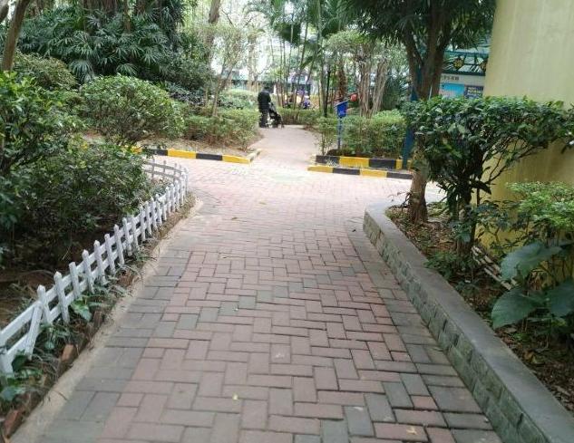 深圳风景优美的大自然景区,深圳一个人玩的公园