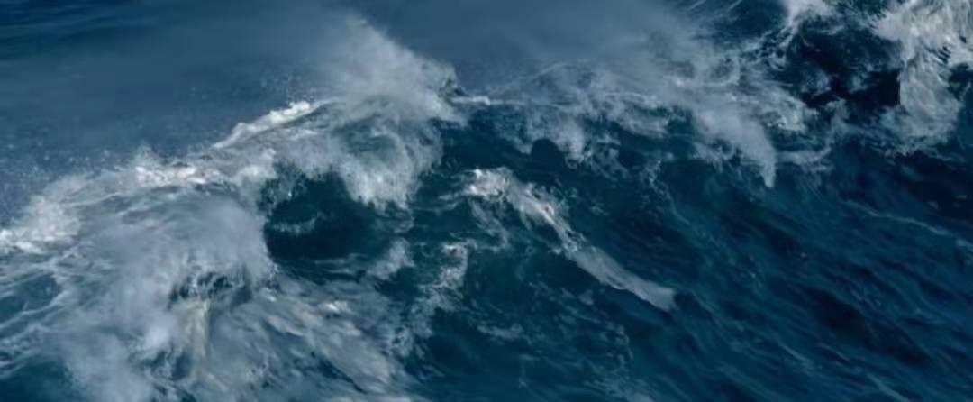 是你们说的全程高潮，但结局我想骂街