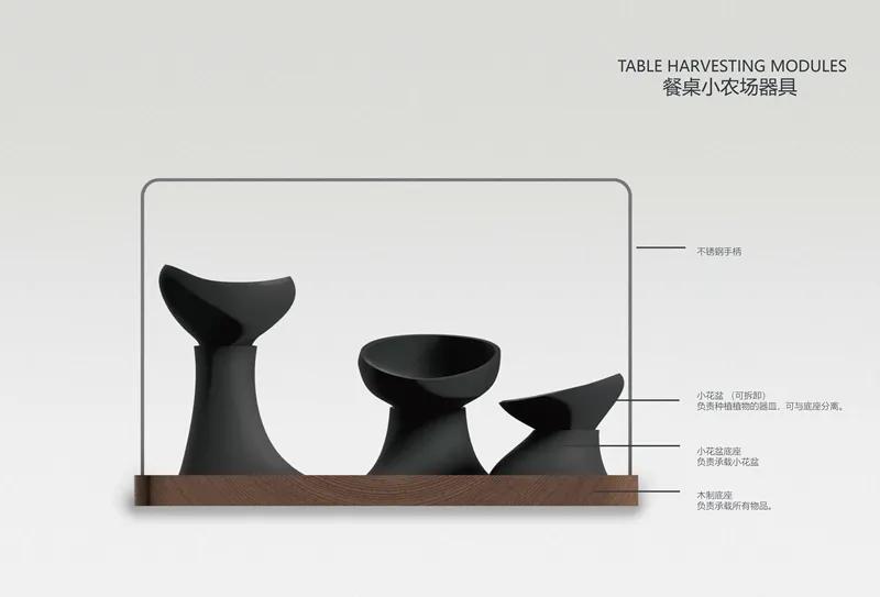 食物设计案例,健康饮食的设计意图