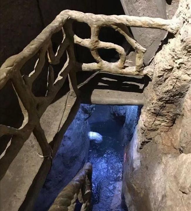 重庆地下鱼泉涌出大量鱼,重庆农户挖出神秘鱼泉在什么地方