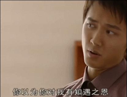 男才女貌谁演的最好,男才女貌是几年前的剧