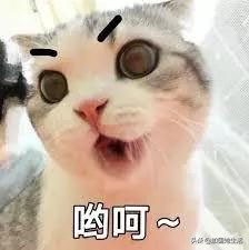 多伦多轻奢家居,多伦多中式家具