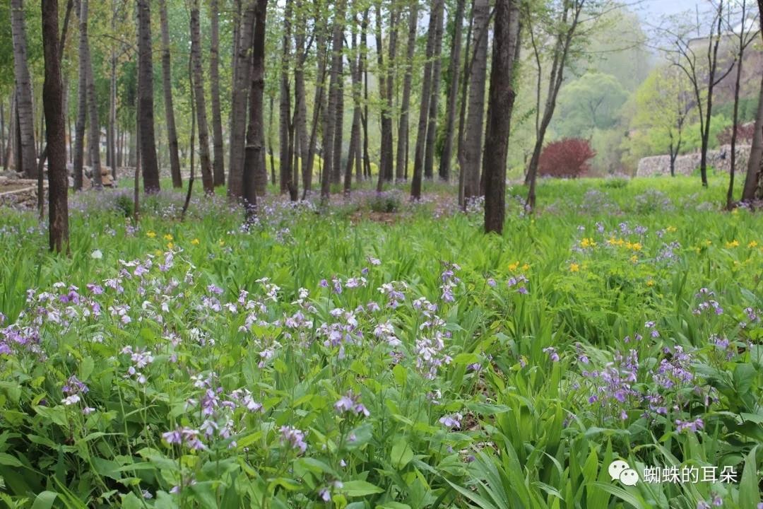 河北享水溪风景区,享水溪景区2018年
