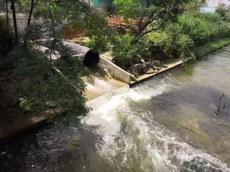 光明这些河流又有新变化,多个好消息密集来报~